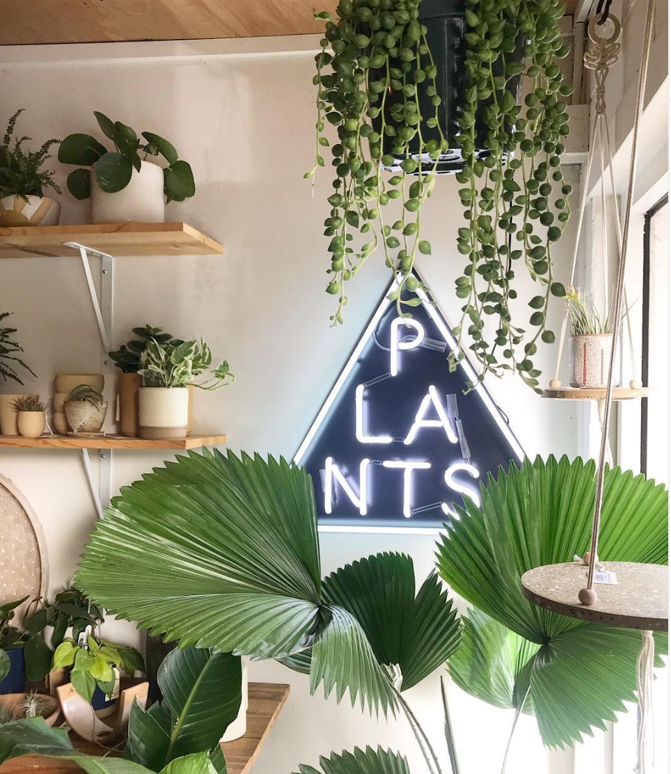 5 Fun Housewarming Gifts for Couples